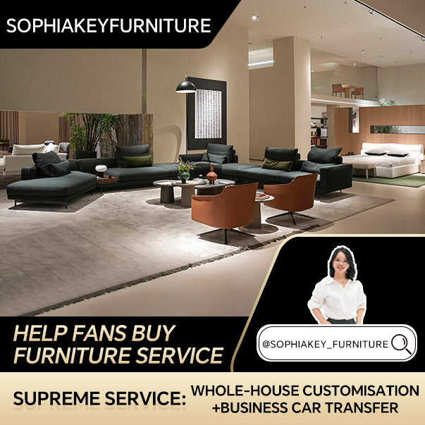 Foshan furniture showroom visit support for international procurement clients